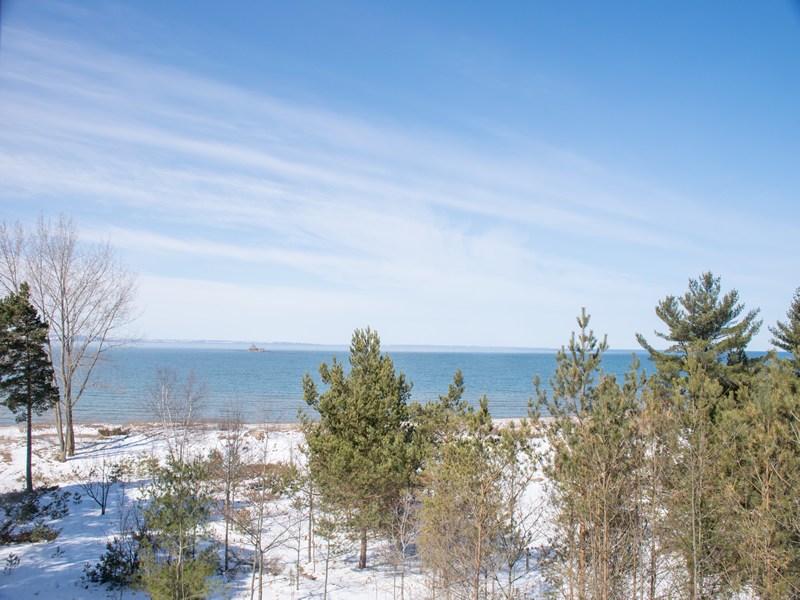 Young pines and dune grass in snow on sandy ground above the Georgian Bay shoreline, with open blue water and a distant horizon beyond