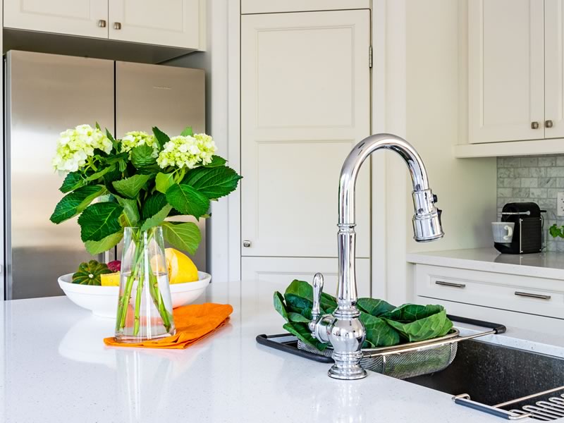 Kitchen finishes — cabinetry and countertop detail